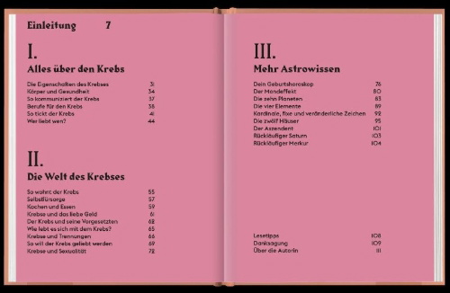 Buchcover und Innenansicht für das Buch: SEEING STARS Cancer
