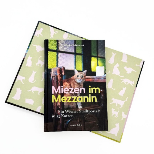 Buchcover und Innenansicht für das Buch: Miezen im Mezzanin