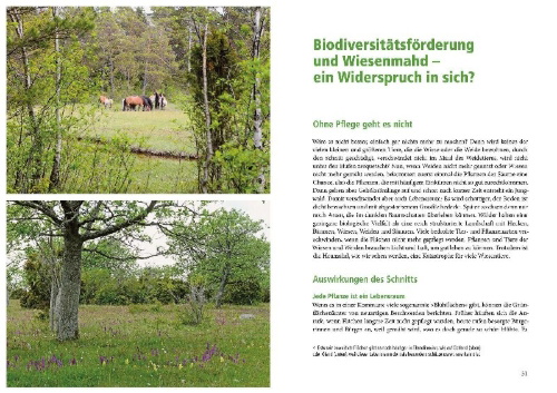 Buchcover und Innenansicht für das Buch: Die Rasen-Revolution