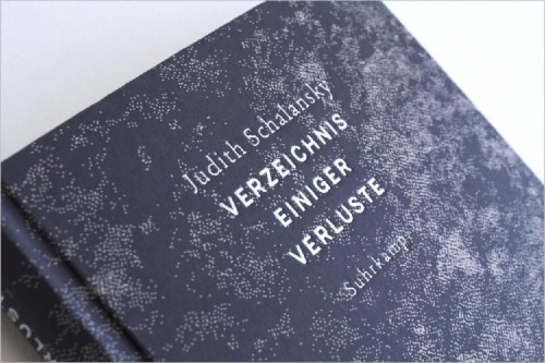 Buchcover und Innenansicht für das Buch: Verzeichnis einiger Verluste