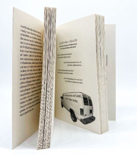 Buchcover und Innenansicht für das Buch: Im Bann des Eichelhechts und andere Geschichten aus Sprachland