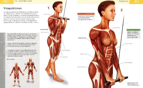 Buchcover und Innenansicht für das Buch: Das Anatomie-Buch der Fitness
