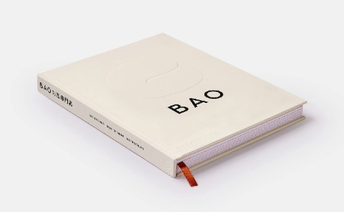 Buchcover und Innenansicht für das Buch: BAO