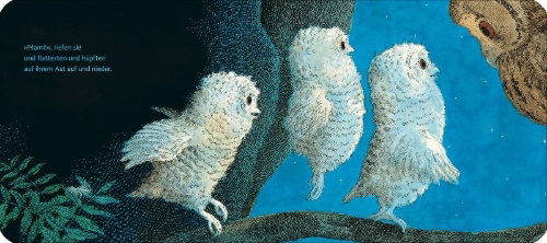 Buchcover und Innenansicht für das Buch: Owl Babies