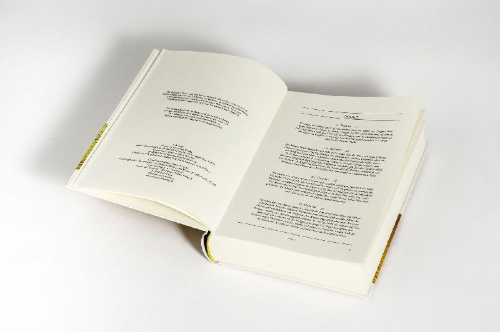 Buchcover und Innenansicht für das Buch: Odyssee