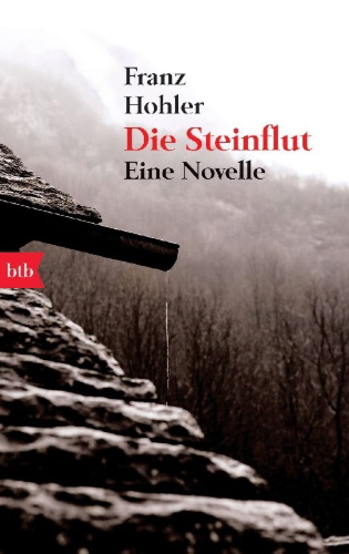 Buchcover und Innenansicht für das Buch: Die Steinflut