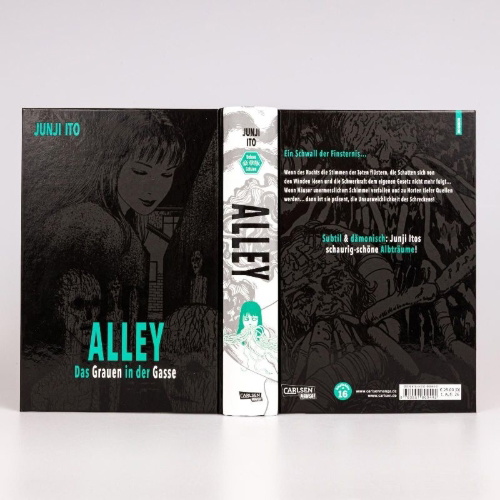 Buchcover und Innenansicht für das Buch: Alley