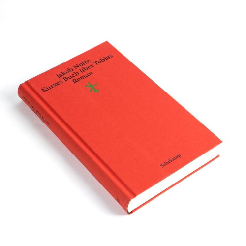 Buchcover und Innenansicht für das Buch: Kurzes Buch über Tobias