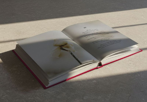Buchcover und Innenansicht für das Buch: Forever Beautiful