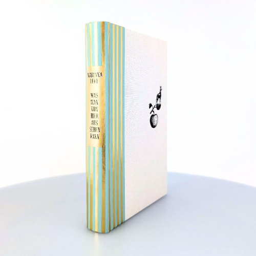 Buchcover und Innenansicht für das Buch: Was man von hier aus sehen kann