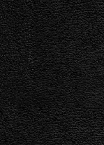 Buchcover und Innenansicht für das Buch: Berserk Master Edition 04
