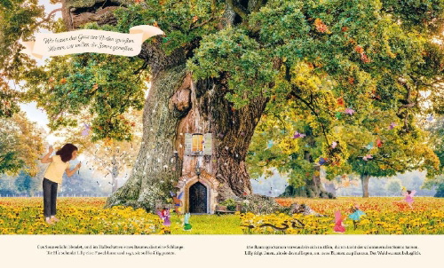Buchcover und Innenansicht für das Buch: Through the Fairy Door