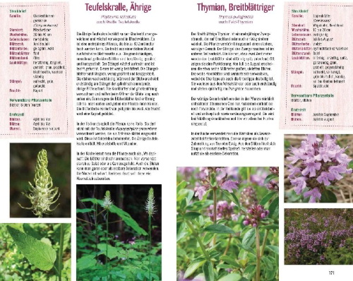 Buchcover und Innenansicht für das Buch: Essbare Kräuter und Wildpflanzen