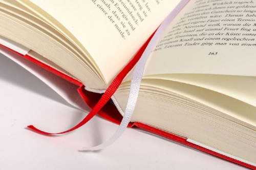 Buchcover und Innenansicht für das Buch: Sonne über Gudhjem