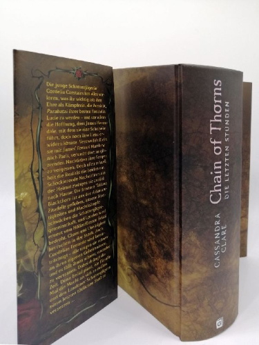 Buchcover und Innenansicht für das Buch: Chain of Thorns (The Last Hours 3)