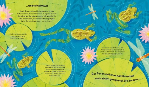 Buchcover und Innenansicht für das Buch: Watch me grow: Frogs