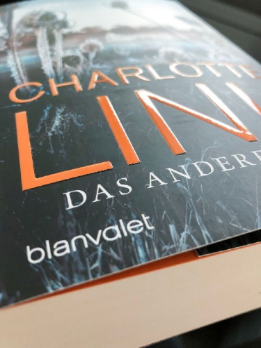 Buchcover und Innenansicht für das Buch: Das andere Kind