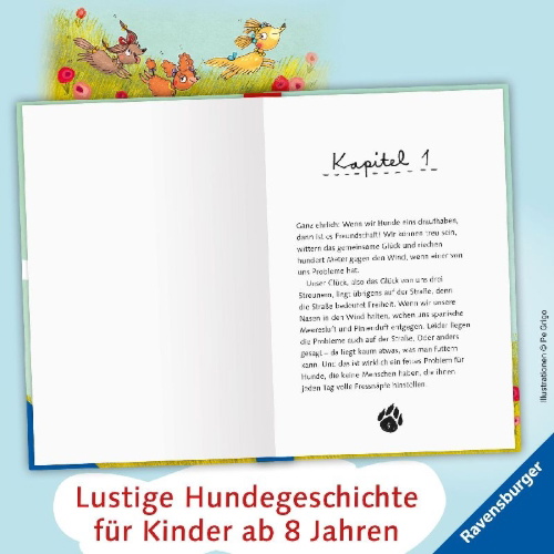 Buchcover und Innenansicht für das Buch: 3 Streuner wittern das Abenteuer