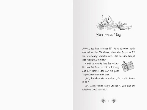 Buchcover und Innenansicht für das Buch: Pferdeflüsterer-Mädchen, Band 1 - Rubys Entscheidung
