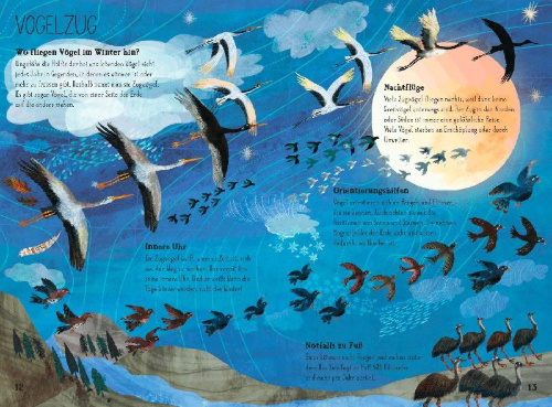 Buchcover und Innenansicht für das Buch: The Big Book of Birds