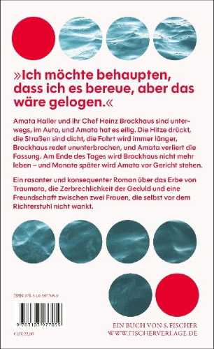 Buchcover und Innenansicht für das Buch: So, in etwa, ist es geschehen