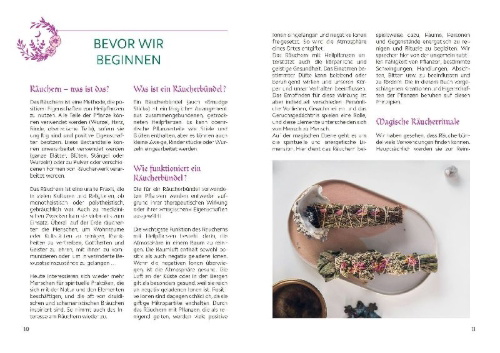 Buchcover und Innenansicht für das Buch: Rituels et bâtons de fumigation