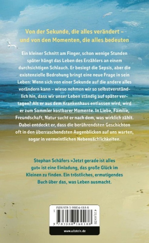 Buchcover und Innenansicht für das Buch: Jetzt gerade ist alles gut