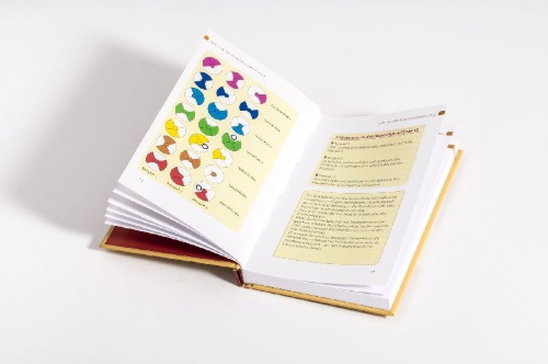 Buchcover und Innenansicht für das Buch: Chakras