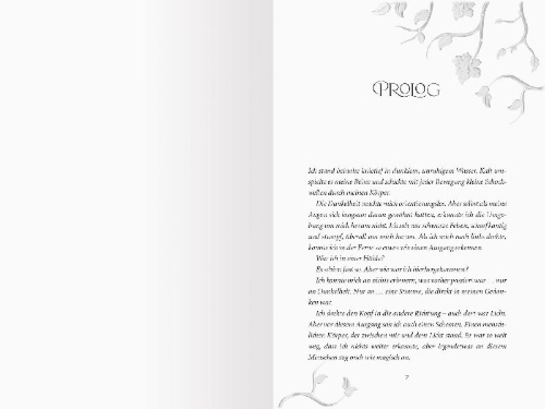 Buchcover und Innenansicht für das Buch: Jewel & Blade, Band 2 - Die Hüter von Camelot