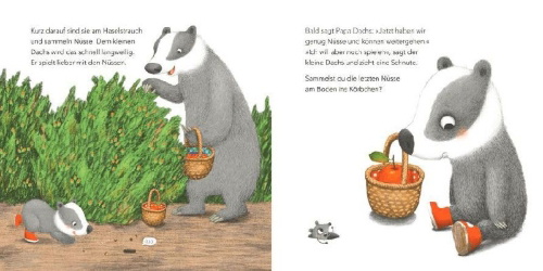 Buchcover und Innenansicht für das Buch: "Ich will aber!", sagt der kleine Dachs (Trotz-Buch)