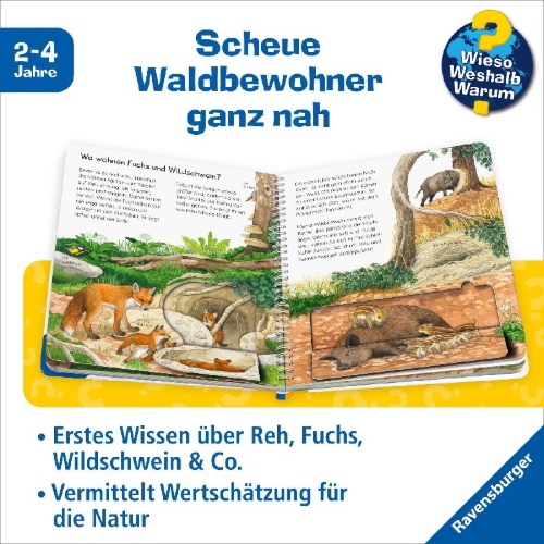 Buchcover und Innenansicht für das Buch: Wieso? Weshalb? Warum? junior, Band 77 - Tiere im Wald