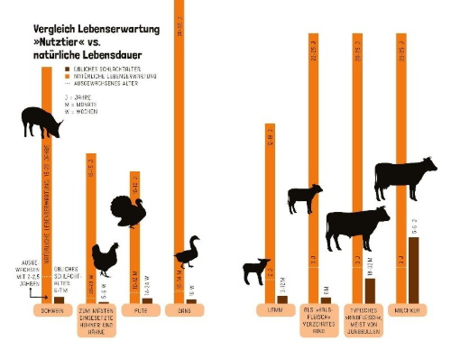 Buchcover und Innenansicht für das Buch: Tiere wollen leben!