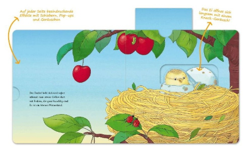 Buchcover und Innenansicht für das Buch: Das Eiwunder
