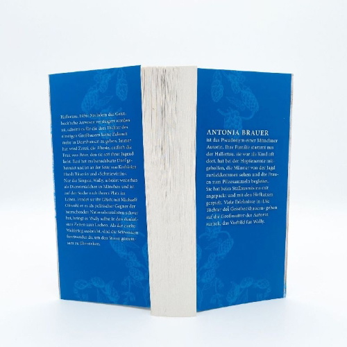 Buchcover und Innenansicht für das Buch: Die Töchter des Geistbeckbauern