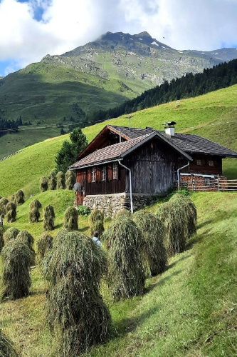 Buchcover und Innenansicht für das Buch: Alpine Vitalküche