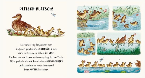 Buchcover und Innenansicht für das Buch: Slow Down in the park