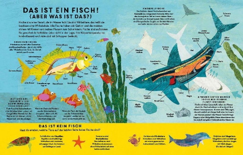 Buchcover und Innenansicht für das Buch: There are Fish Everywhere