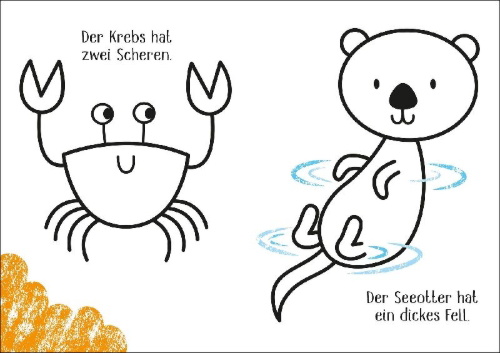 Buchcover und Innenansicht für das Buch: Allererster Farbenzauber: Im Meer