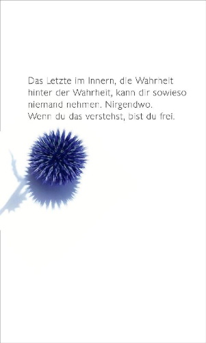 Buchcover und Innenansicht für das Buch: Museum der Einsamkeit
