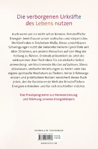 Buchcover und Innenansicht für das Buch: Subtle Energy Techniques