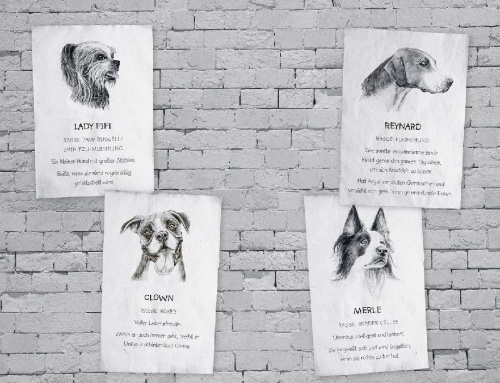 Buchcover und Innenansicht für das Buch: A Streetdog named Pup