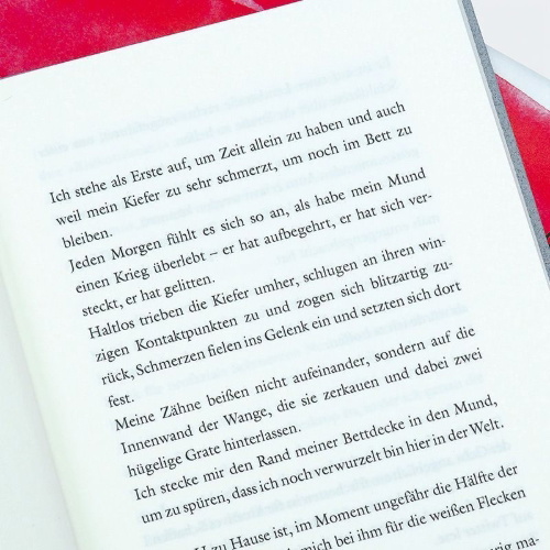 Buchcover und Innenansicht für das Buch: Pathemata, or, the Story of My Mouth