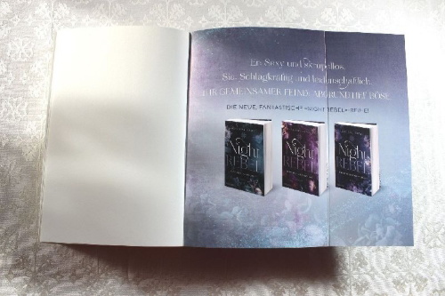 Buchcover und Innenansicht für das Buch: Shades of Wicked (Night Rebel 1)