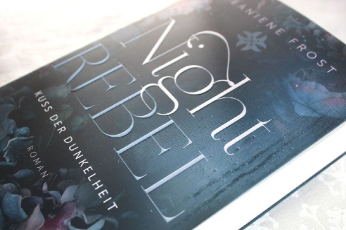 Buchcover und Innenansicht für das Buch: Shades of Wicked (Night Rebel 1)