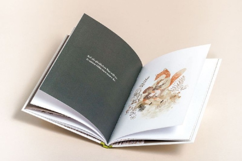 Buchcover und Innenansicht für das Buch: More than a little