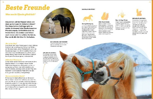 Buchcover und Innenansicht für das Buch: WAS IST WAS Pferde. Freunde, Freiheit, Abenteuer