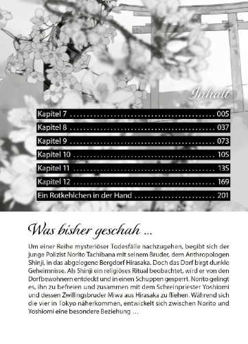 Buchcover und Innenansicht für das Buch: Im Schleier der Nacht 02
