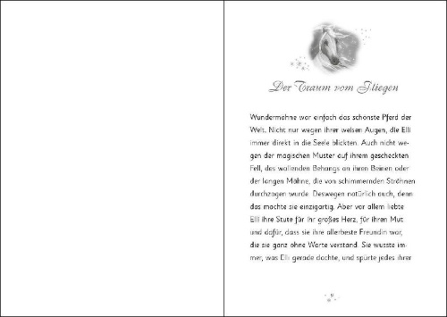 Buchcover und Innenansicht für das Buch: Wundermähne (Band 4) - Das goldene Wildpferd