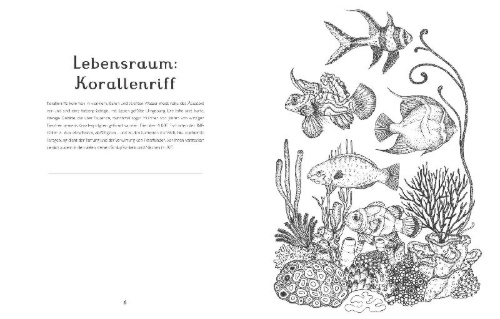 Buchcover und Innenansicht für das Buch: Animalium Coloring Book
