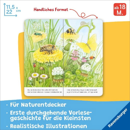 Buchcover und Innenansicht für das Buch: Ich bin die kleine Biene